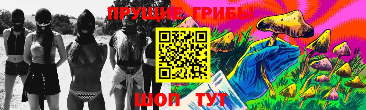 Галлюциногенные грибы Psilocybine cubensis Черняховск
