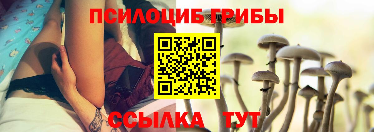 Псилоцибиновые грибы мицелий  Вход с VPN  Черняховск  Псилоцибиновые грибы Psilocybe 