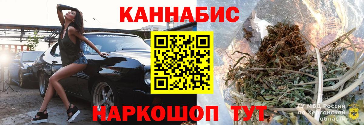 Каннабис сатива Черняховск